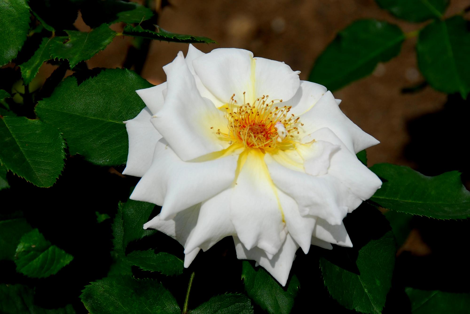 08