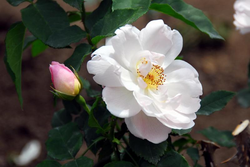 04