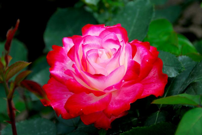 05