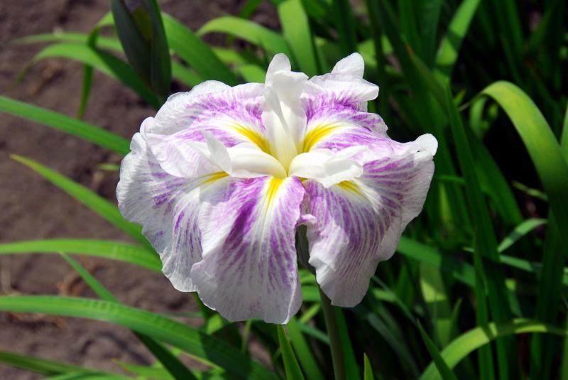 06