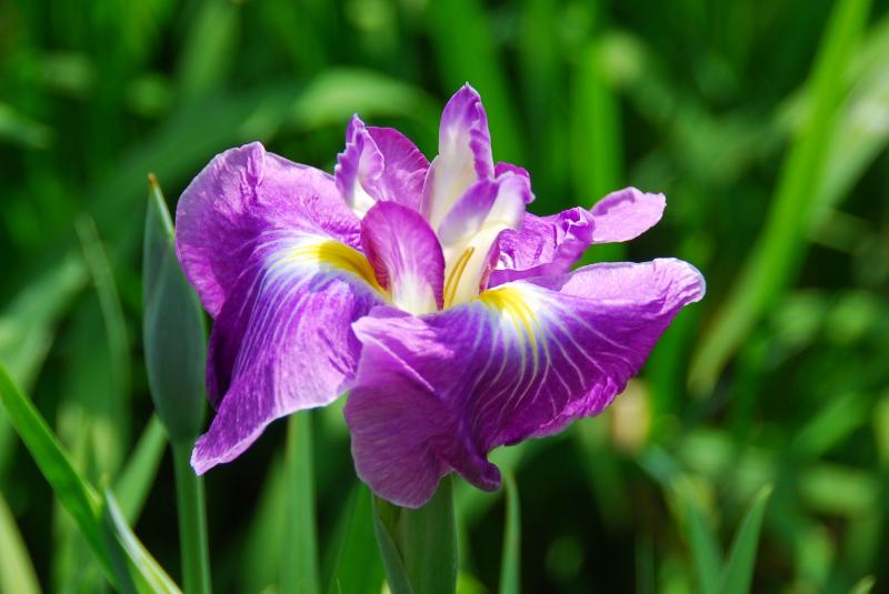 09