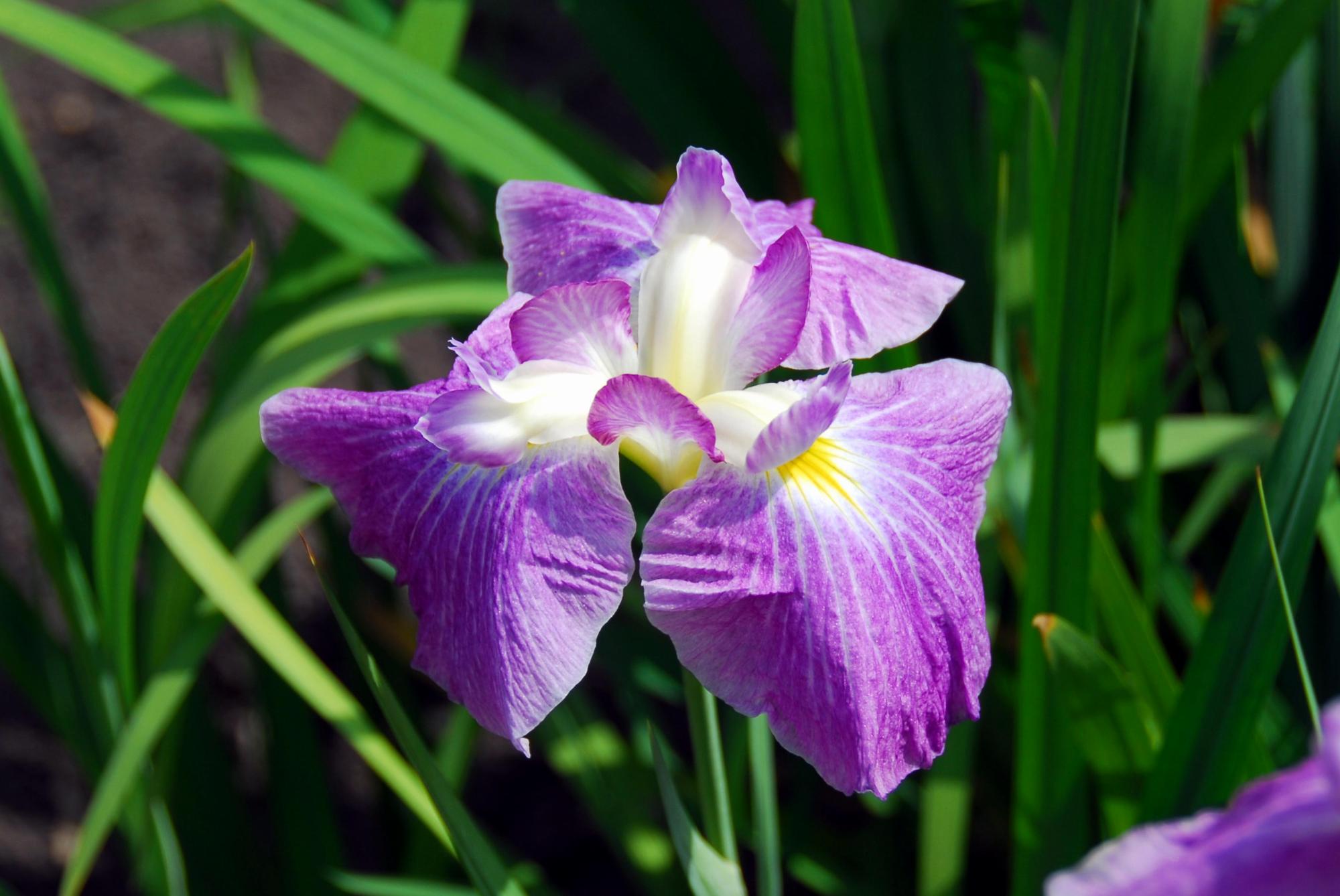 08