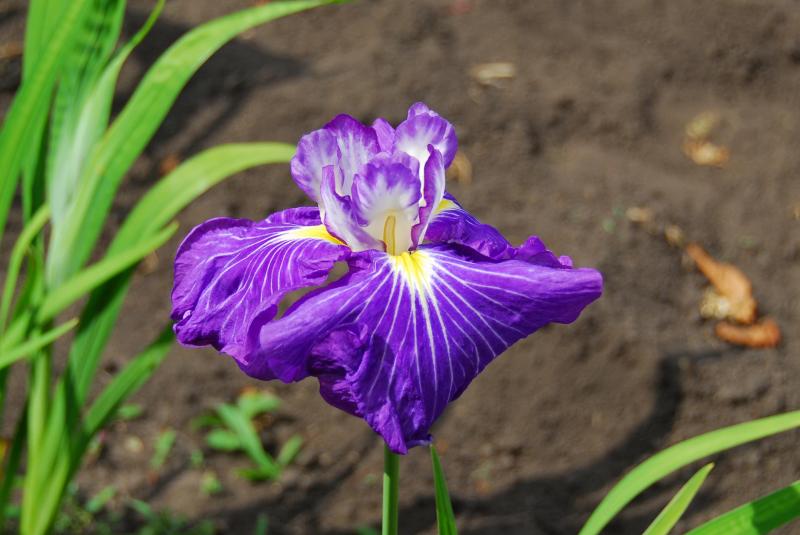 06