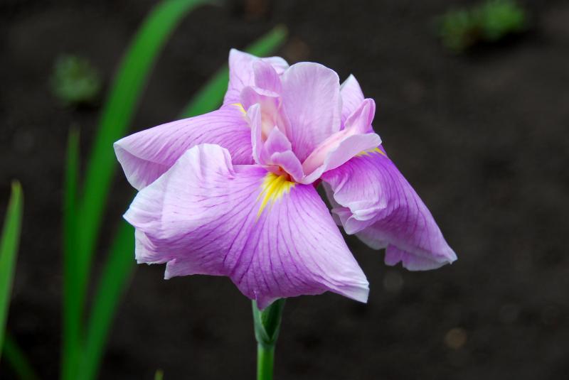 07