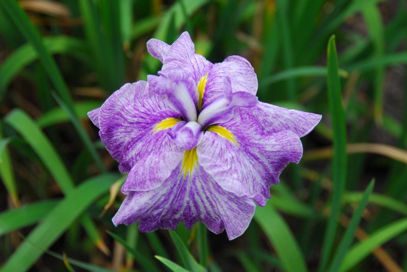 09