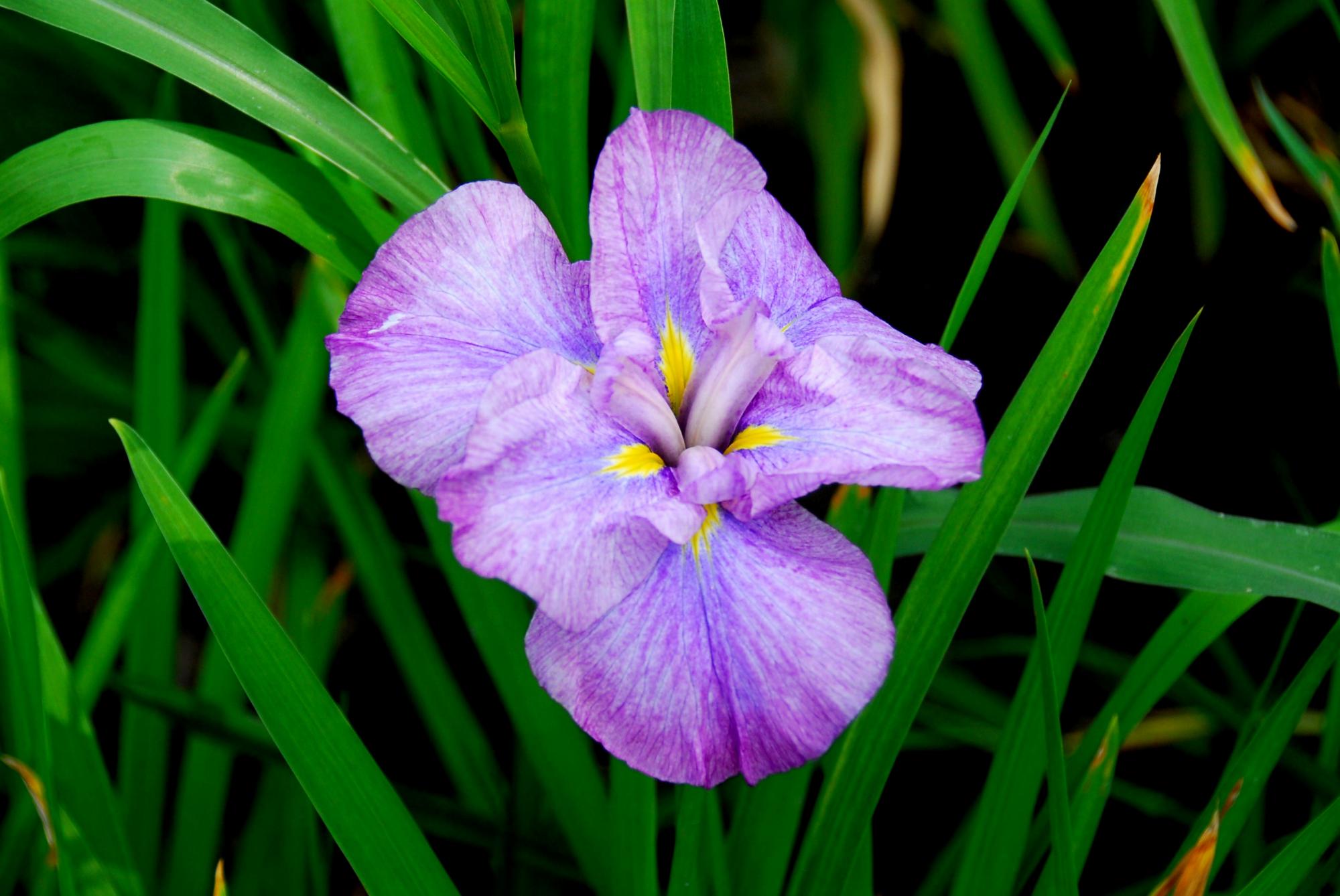 05