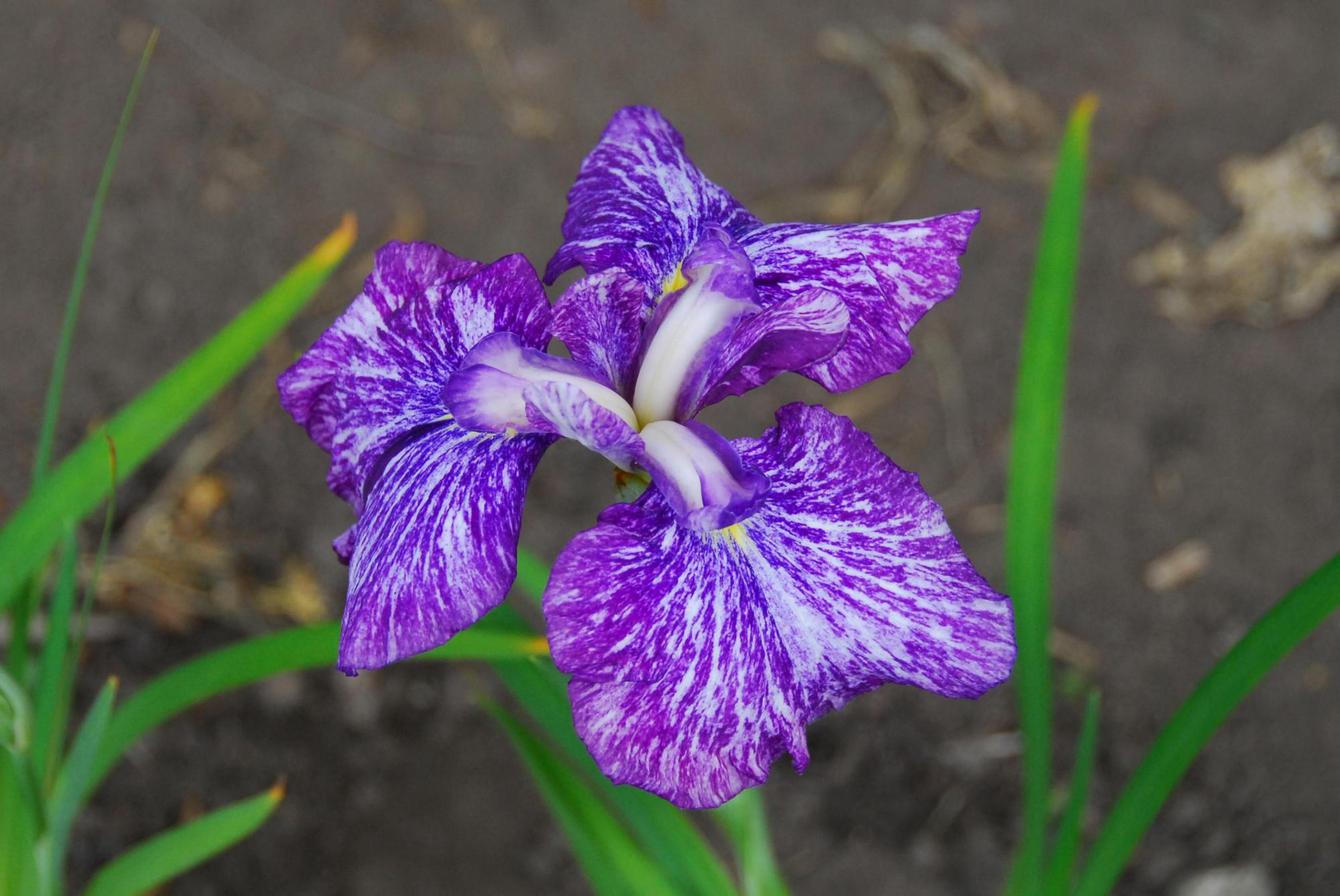08