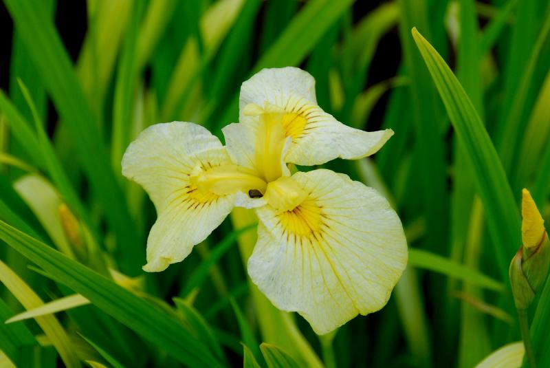 07