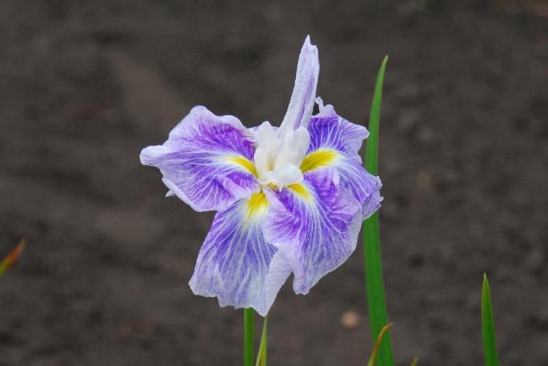 08