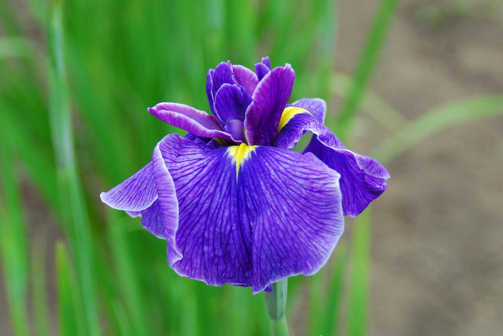 04