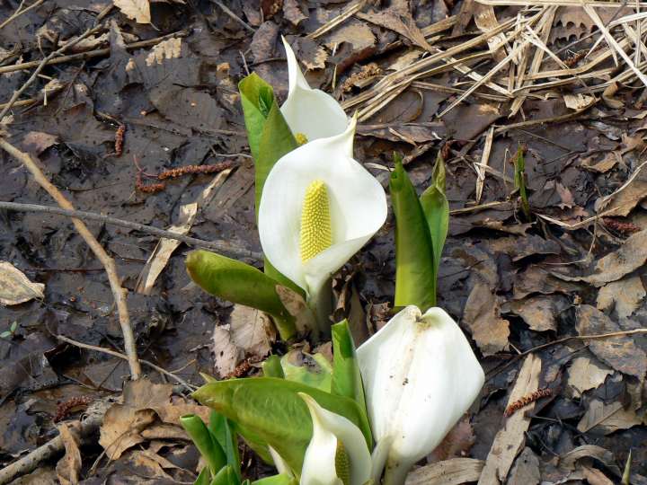 05