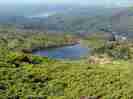 toumanokkosi