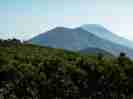 tisenupuri