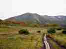 midoridake