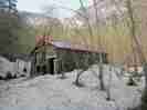 asibetudakehontani
