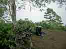 kamuidake