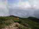 iwanaidake