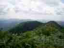 osyamanbedake