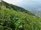 Kʊx