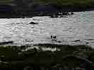 PLvoR